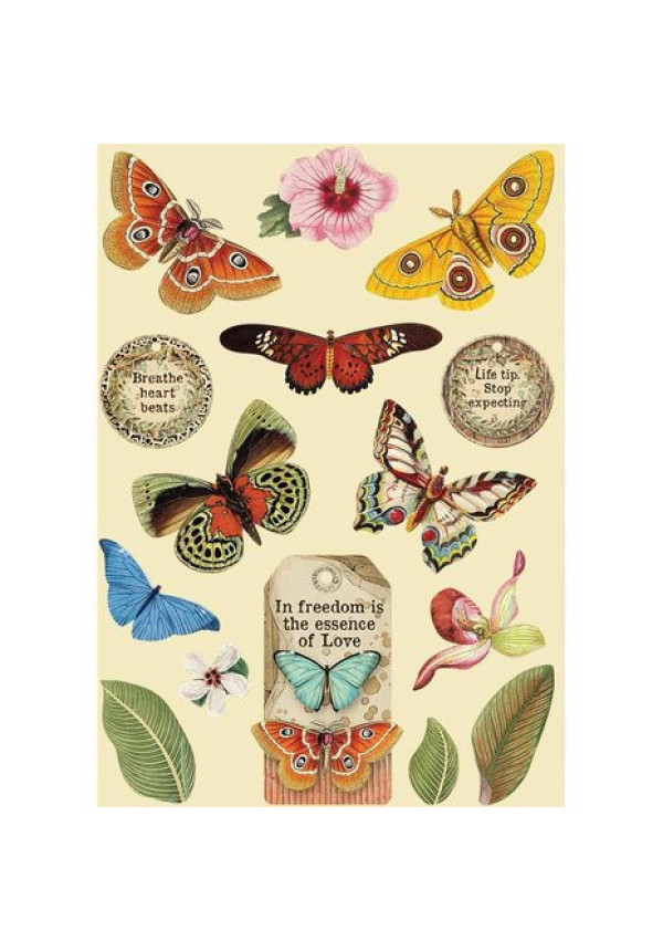 Formas de Madera A5 Amazonia Mariposa