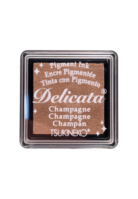 Tinta Delicata color champán brillante metálico